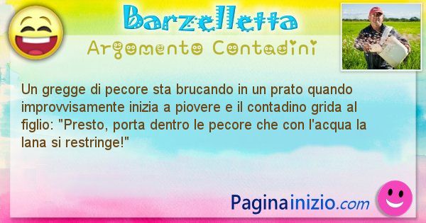 Barzelletta argomento Contadini: Un gregge di pecore sta brucando in un prato quando ... (id=1525)