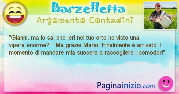 Barzelletta argomento Contadini: Gianni, ma lo sai che ieri nel tuo orto ho visto una ... (id=1529)