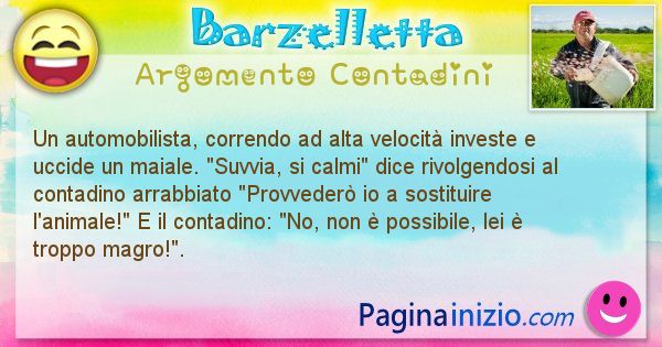 Barzelletta argomento Contadini: Un automobilista, correndo ad alta velocit investe e ... (id=1531)