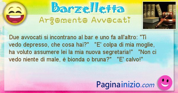 Barzelletta argomento Avvocati: Due avvocati si incontrano al bar e uno fa all'altro: Ti ... (id=2119)