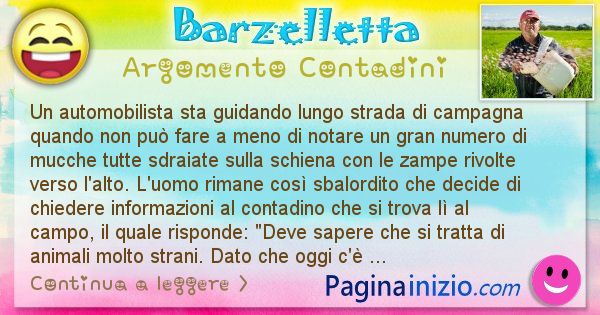 Barzelletta argomento Contadini: Un automobilista sta guidando lungo strada di campagna ... (id=2334)