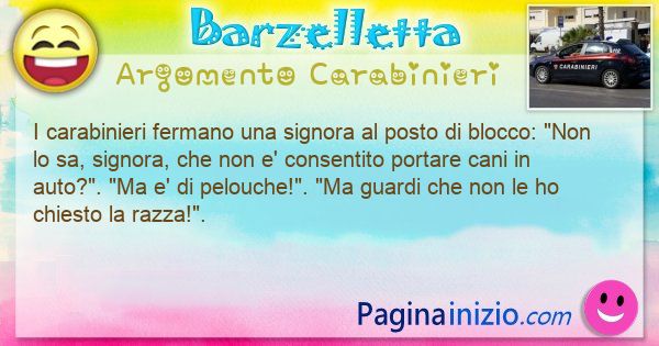 Barzelletta argomento Carabinieri: I carabinieri fermano una signora al posto di ... (id=3216)