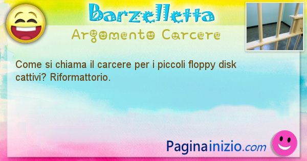 Barzelletta argomento Carcere: Come si chiama il carcere per i piccoli floppy disk ... (id=1223)