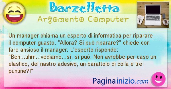 Barzelletta argomento Computer: Un manager chiama un esperto di informatica per riparare ... (id=2283)