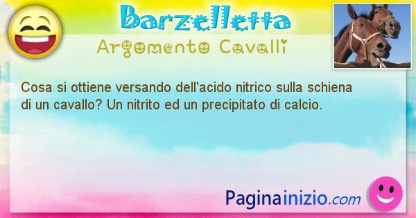 Barzelletta argomento Cavalli: Cosa si ottiene versando dell'acido nitrico sulla schiena ... (id=864)