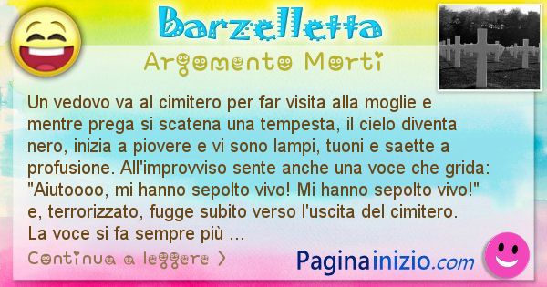 Barzelletta argomento Morti: Un vedovo va al cimitero per far visita alla moglie e ... (id=2416)