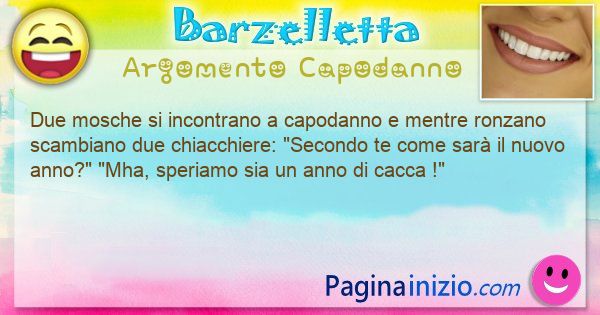 Barzelletta argomento Capodanno: Due mosche si incontrano a capodanno e mentre ronzano ... (id=3186)