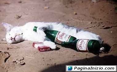 Le cattive compagnie