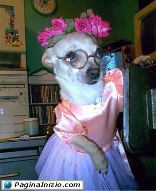 Volevo fare la ballerina...