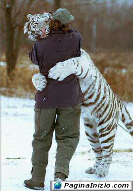 Un abbraccio felino