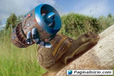 Una lumaca attrezzata
