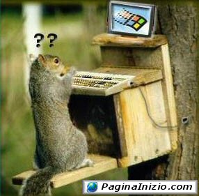 L'aggiornamento di Windows è troppo lento...