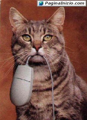Mi piace andare a caccia...di mouse
