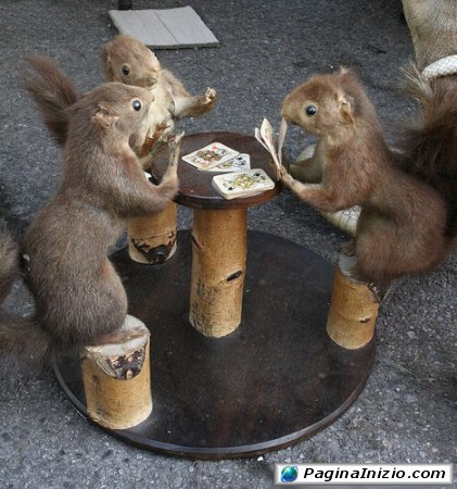 A chi tocca?