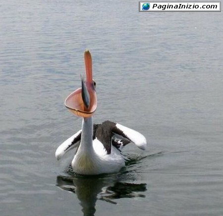 Benvenuto a bordo...!