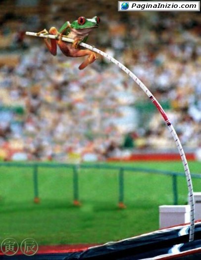 Una rana molto atletica