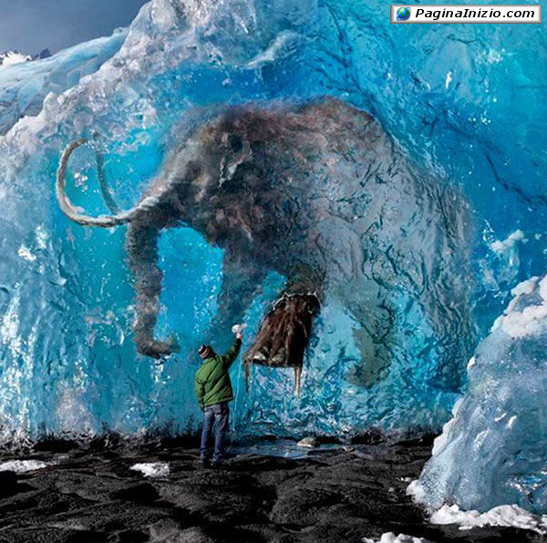 Assurdità glaciali