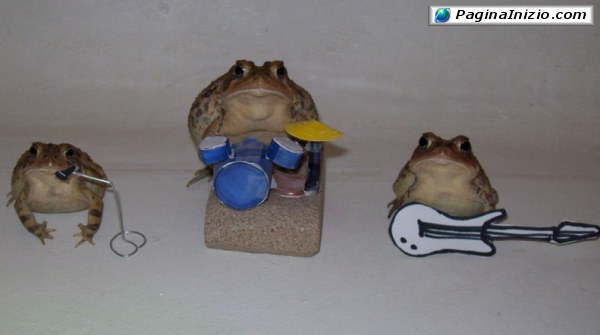 La mia band suona il...frog!