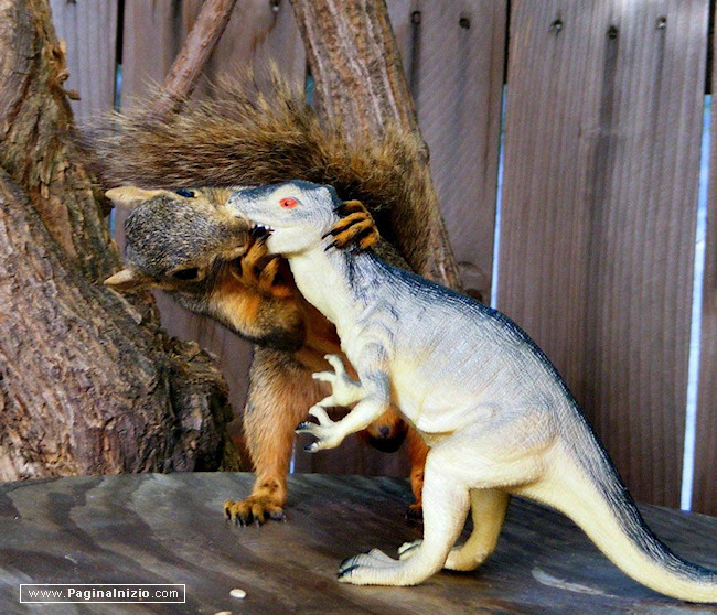 Non ho mai baciato un dinosauro...