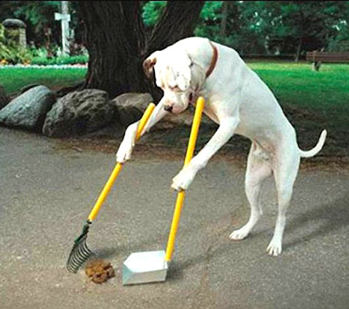 Ce ne fossero cani come me!