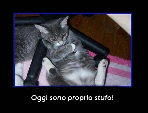 Lasciatemi stare, sono inavvicinabile!