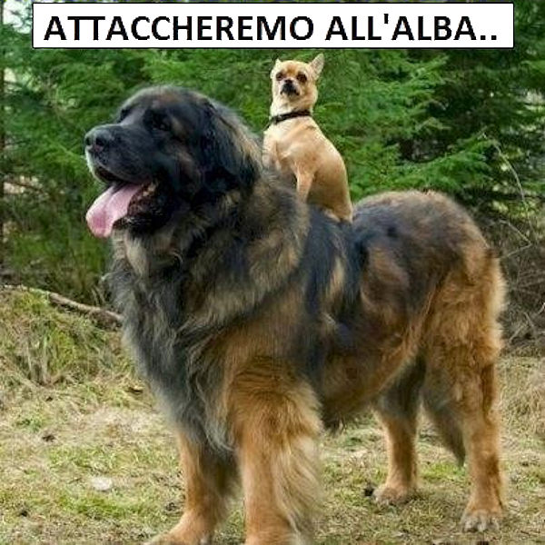I pił forti siamo noi