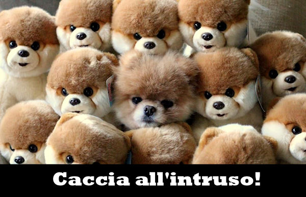 Voglio stare con loro, cosa c'è di male?