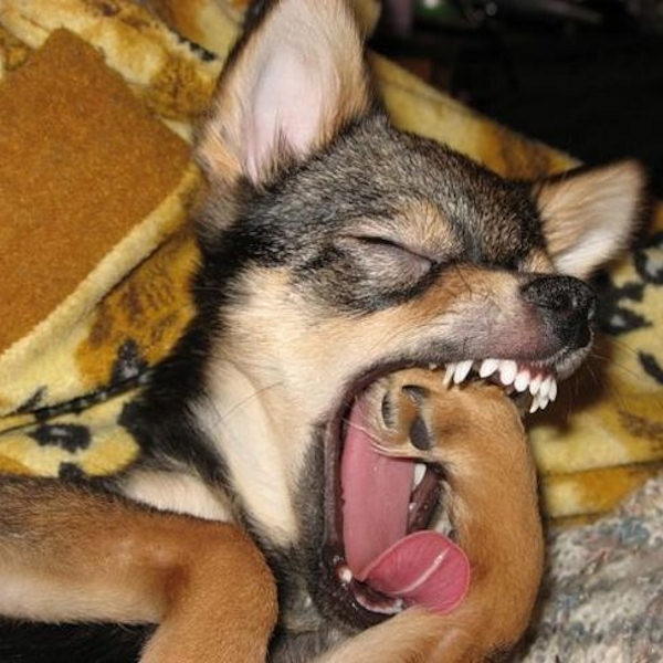 Che sonno ragazzi!