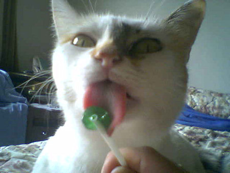 Che buono il lecca lecca alla menta!