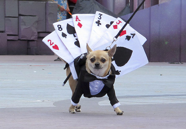Ho trovato il vestito per Carnevale