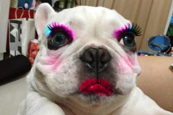 Passione makeup