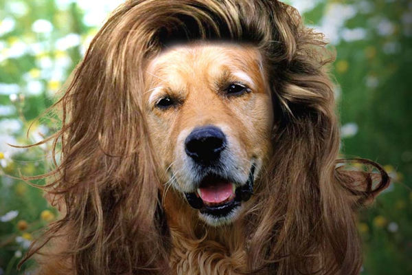 Nuovo testimonial per l'Oreal