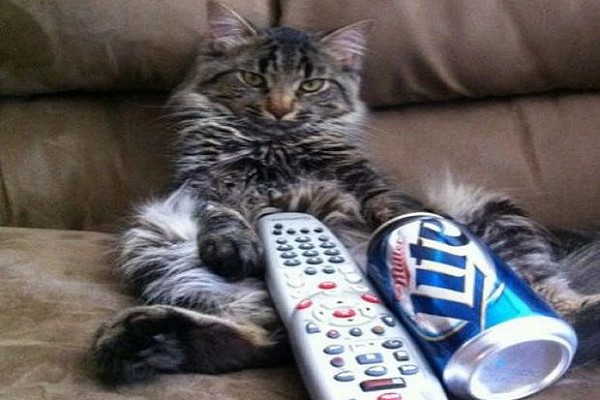 Programma per la serata