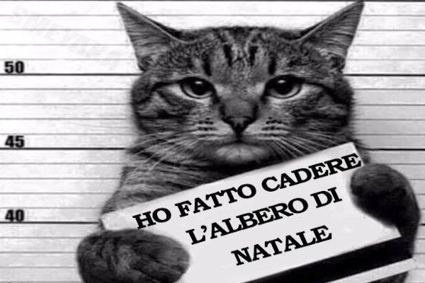 Confessioni post Natale