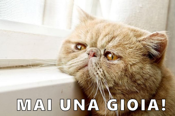 Il riassunto di una vita