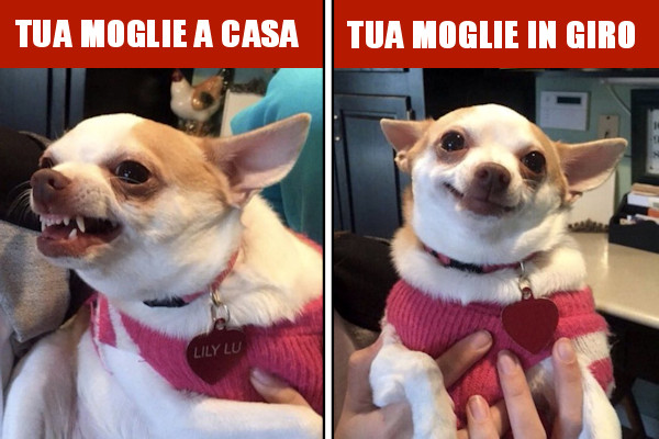 Sbalzi di umore...