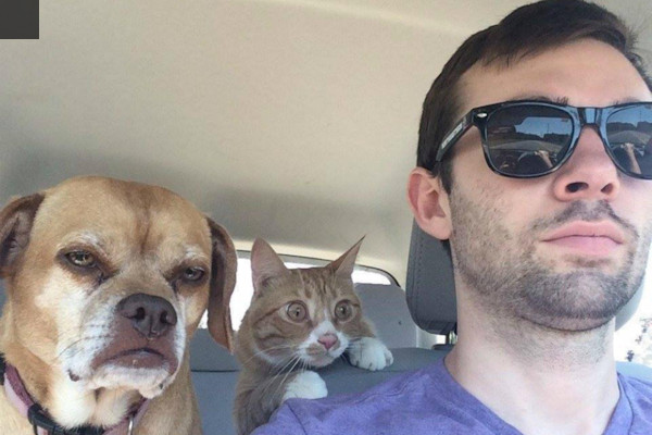 Quando sei in auto...
