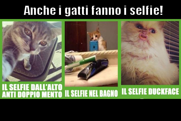 Tipologie di selfie