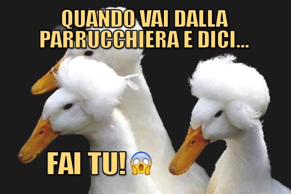 In cerca di un nuovo look?