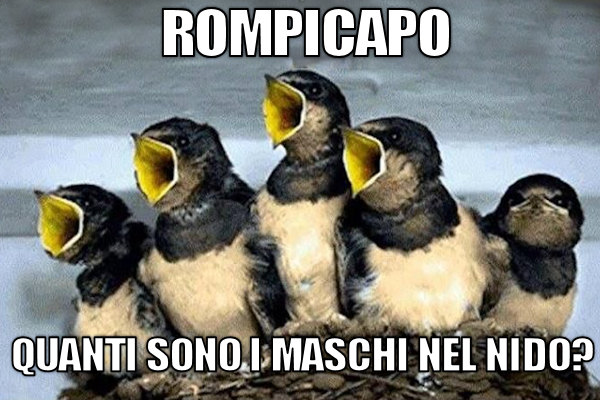 Sai risolvere questo enigma?
