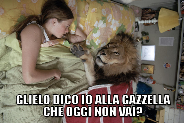 Una notte da leoni...