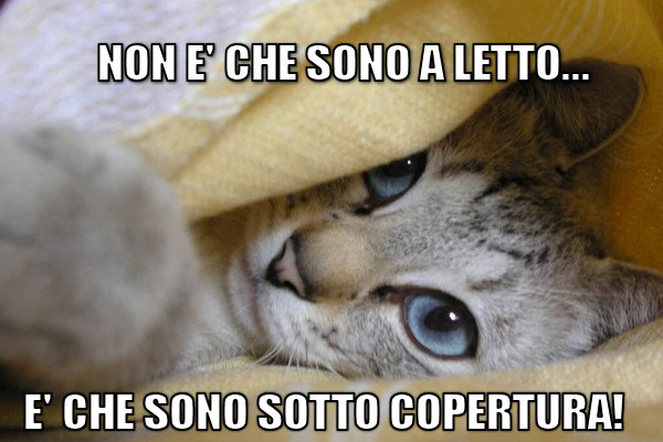 Missione speciale sotto le coperte!