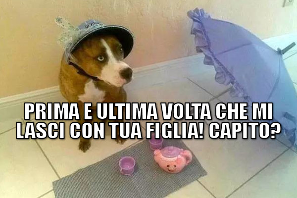 La pazienza degli amici a 4 zampe