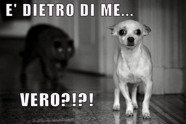 Guardarsi alle spalle