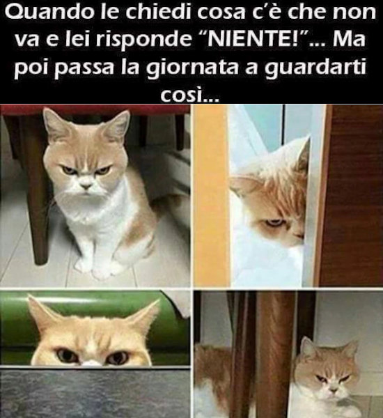 Quando le donne si arrabbiano...