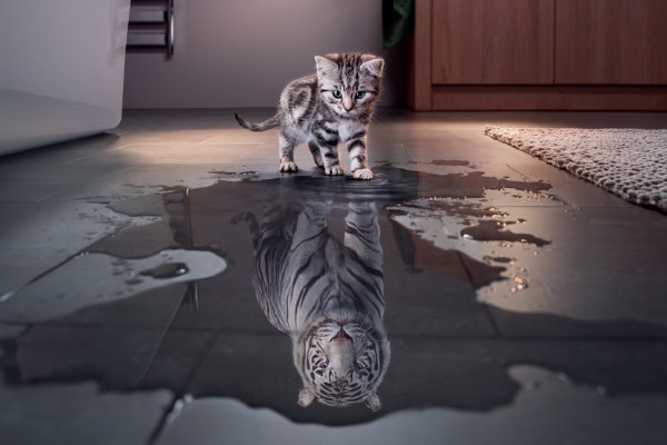 Prospettive future