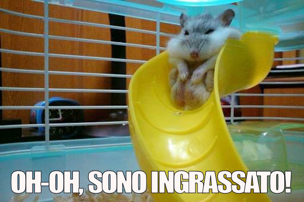 Sorprese amare...
