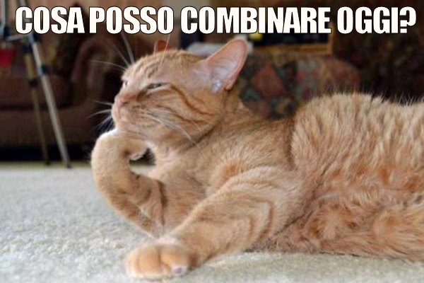 I dispetti sono sempre ben ponderati