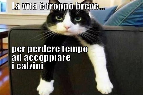 Calzini spaiati