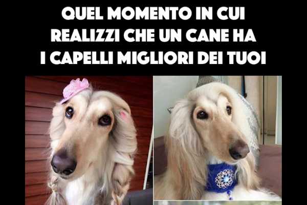 Questione di capelli